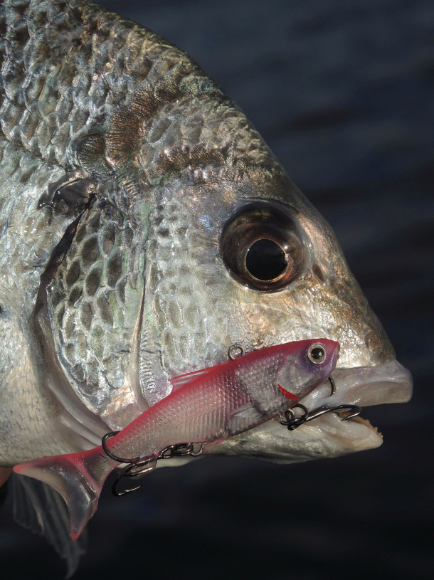 Tested: Samaki Vibelicious Thumper soft vibes